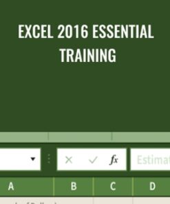Excel 2016 Essential Training - Dennis Taylor