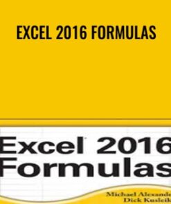 Excel 2016 Formulas - Michael Alexander & Others