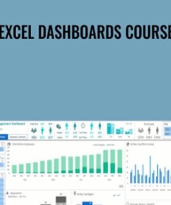 Excel Dashboards Course - Mynda Treacy