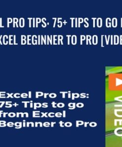Excel Pro Tips: 75+ Tips to go from Excel Beginner to Pro [Video] - Chris Dutton