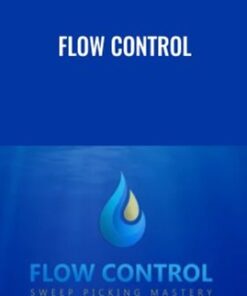 Flow Control - Claus Levin