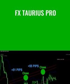 FX TAURIUS PRO