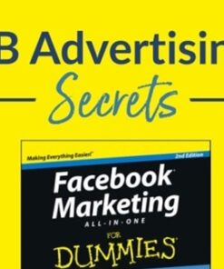 Facebook Advertising Secrets - Andrea Vahl's