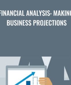 Financial Analysis: Making Business Projections - Rudolph Rosenberg