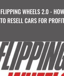 Flipping Wheels 2.0 - How To Resell Cars For Profit - Ricky & Team