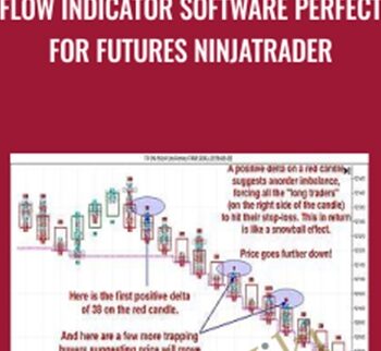Flow Indicator Software Perfect for Futures Ninjatrader