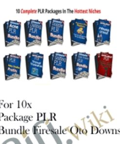 For 10x Package PLR Bundle Firesale Oto Downsell