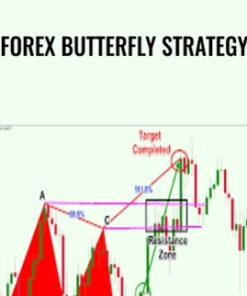Forex Butterfly Strategy