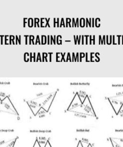 Forex Harmonic Pattern Trading – With Multiple Chart Examples – Luciano Kelly
