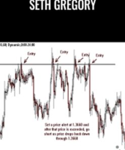 Seth Gregory - Forex Mentor