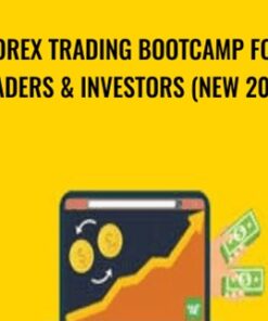 Forex Trading Bootcamp For Traders & Investors (NEW 2020) - Wealthy Education