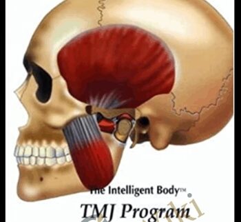 The Intelligent Body: TMJ Program - Feldenkrais - Frank Wildman