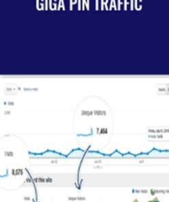 Giga Pin Traffic - Ivana Bosnjak, Abhi Dwivedi, Ricky Mataka