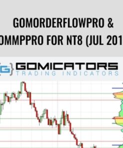 GomOrderFlowPro & GomMPPro for NT8 (Jul 2019) – Gomicators