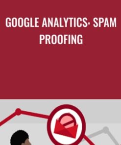 Google Analytics: Spam Proofing - Patrick Rauland