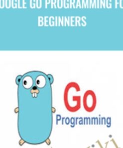 Google Go Programming for Beginners