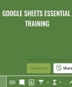 Google Sheets Essential Training - Sally Norred