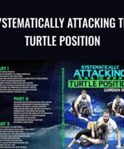 Systematically Attacking the Turtle Position - Gordon Ryan