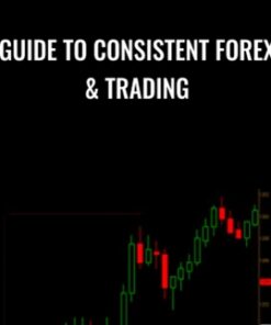 Guide to Consistent Forex & Trading - Derek Frey