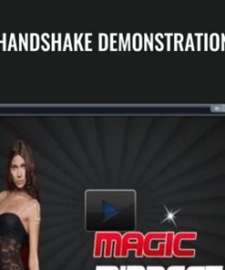 Handshake Demonstration