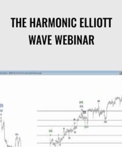 The Harmonic Elliott Wave Webinar - Harmonicelliottwave