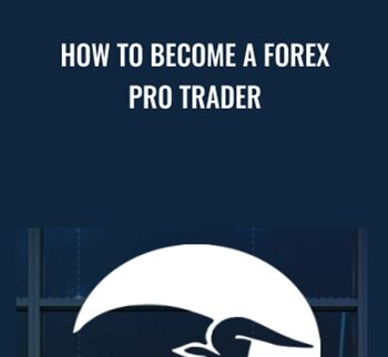 How To Become A Forex Pro Trader