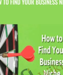 How to find your business niche - Alex Genadinik