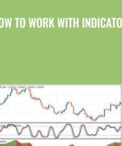 How To Work With Indicators - Tradimo