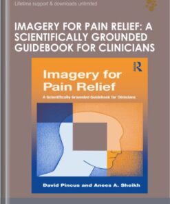Imagery for Pain Relief: A Scientifically Grounded Guidebook for Clinicians - David Pincus