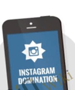Instagram Domination By Foundr
