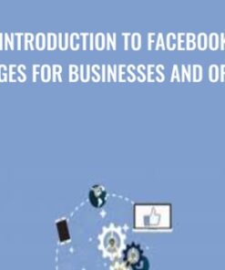 Introduction to Facebook Pages for Businesses and Orgs
