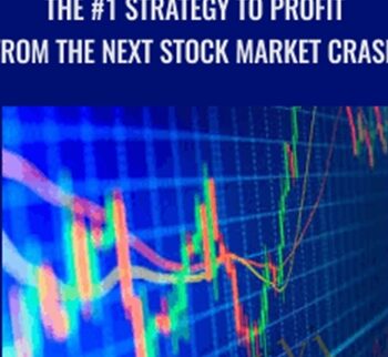 The #1 Strategy To Profit From The Next Stock Market Crash – Jari Roomer