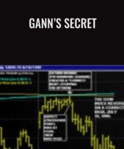 Gann's Secret - Jeanne Long