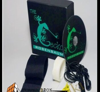The Gecko – Jim Rosenbaum