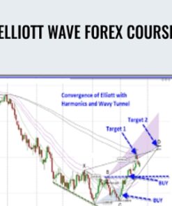 Elliott Wave Forex Course - Jody Samuels