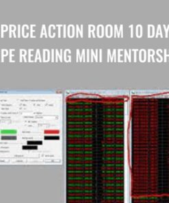Price Action Room 10 Day Tape Reading Mini Mentorship – Joel Parker
