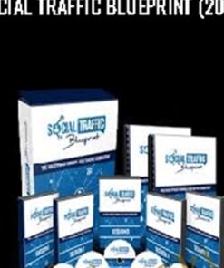 Social Traffic Blueprint (2016)