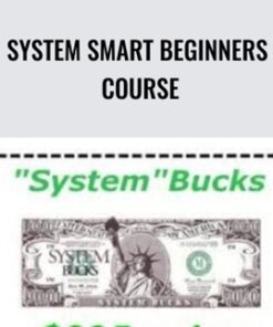 System Smart Beginners Course – Ken McCarthy