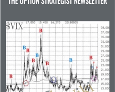 The Option Strategist Newsletter + Hotlines - L. McMillan