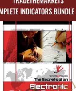 Secrets of an Electronic Futures Trader & DayTraders - Larry Levin