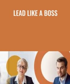 Lead Like a Boss - Todd Dewett