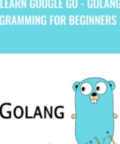 Learn Google Go - Golang Programming for Beginners Deal
