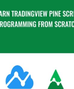 Learn TradingView Pine Script Programming From Scratch - Paul D. Mendes