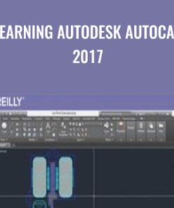 Learning Autodesk AutoCAD 2017 - Brian Benton