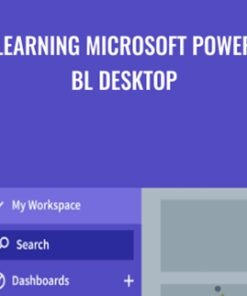 Learning Microsoft Power Bl Desktop - Gini Von Courier