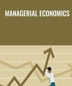Managerial Economics - Stefan Michel