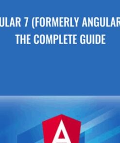 Angular 7 (formerly Angular 2) - The Complete Guide - Maximilian Schwarzmüller