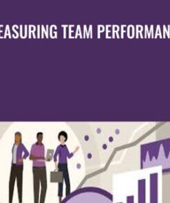 Measuring Team Performance - Mike Figliuolo