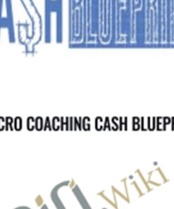 Micro Coaching Cash Blueprint