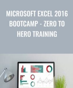 Microsoft Excel 2016 Bootcamp - Zero to Hero Training - Daniel Walter Scott